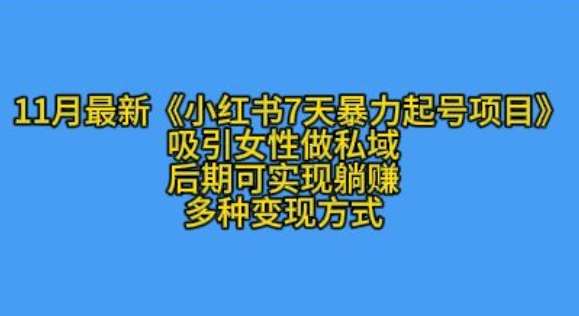 K总部落11月最新小红书7天暴力起号项目，吸引女性做私域【揭秘】-三石淘金网