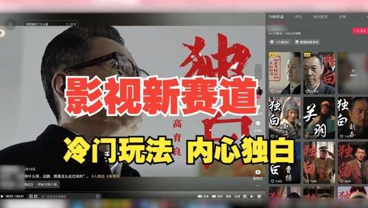 最新影视解说玩法,人物独白,30天涨粉24万+,全流程拆解【揭秘】-三石资源库
