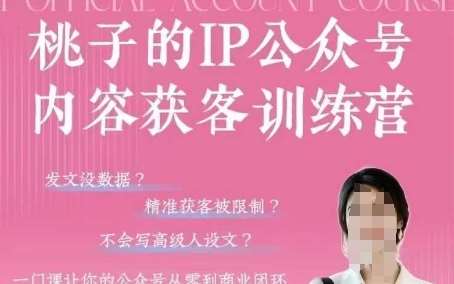 桃子IP公众号内容获客训练营(第3期)，一门让你公众号从0到商业闭环的课程-三石资源库