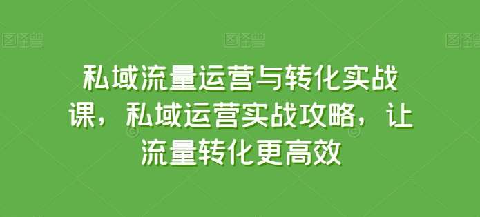 私域流量运营与转化实战课，私域运营实战攻略，让流量转化更高效-三石资源库
