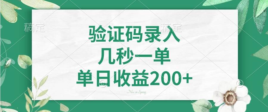 （14221期）验证码录入，几秒一单，单日收益200+-三石资源库