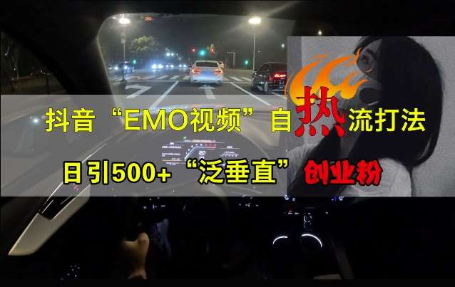 抖音EMO视频自热打法，日引500+“泛垂直”创业粉-三石资源库