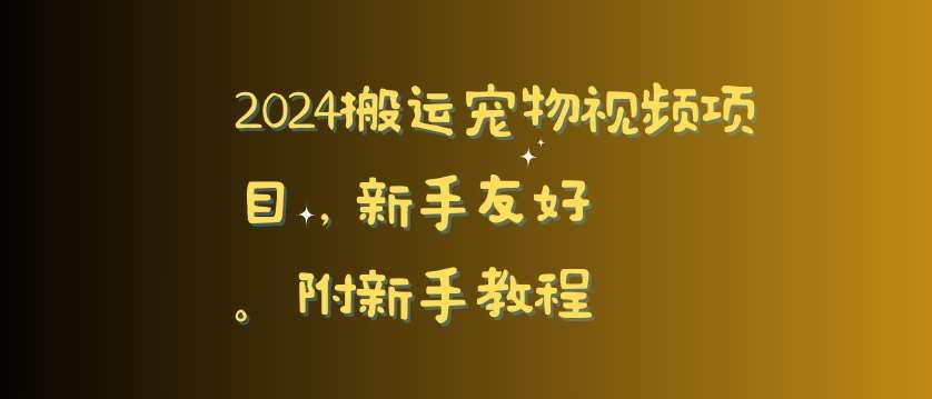 2024搬运宠物视频项目，新手友好，完美去重，附新手教程【揭秘】-三石资源库