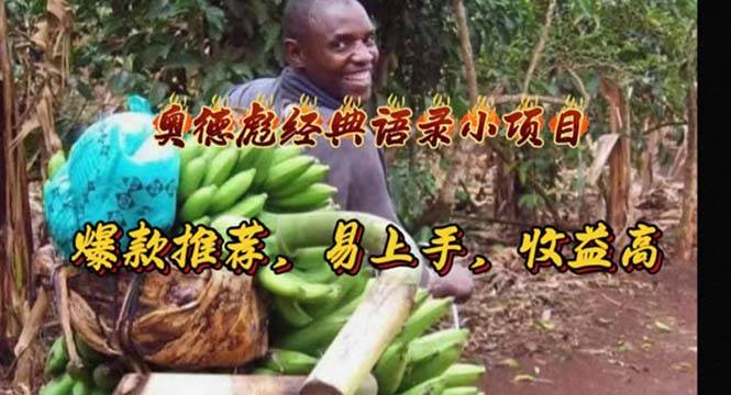 （11030期）奥德彪经典语录小项目，爆款推荐，易上手，收益高-三石资源库