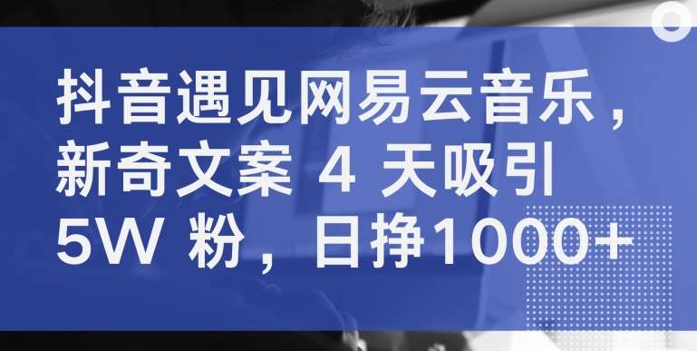 抖音遇见网易云音乐，新奇文案 4 天吸引 5W 粉，日挣1000+【揭秘】-三石资源库