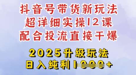 2025全新升级抖音带货玩法，一天纯利四位数，从剪辑到选品再到发布投流，超详细玩法揭秘-三石资源库