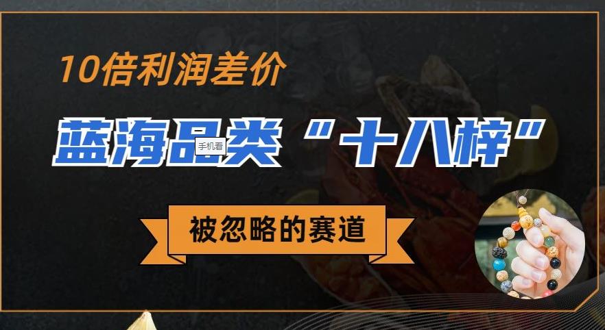 被忽略的蓝海品类“十八籽”，10倍的利润差价，同行一天几十单【揭秘】-三石资源库