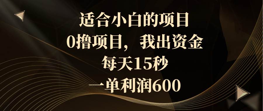 （8571期）适合小白的项目，0撸项目，我出资金，每天15秒，一单利润600-三石资源库