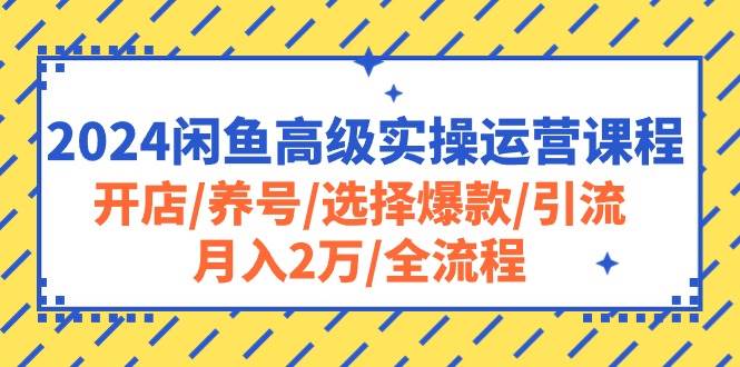 （10711期）2024闲鱼高级实操运营课程：开店/养号/选择爆款/引流/月入2万/全流程-三石资源库