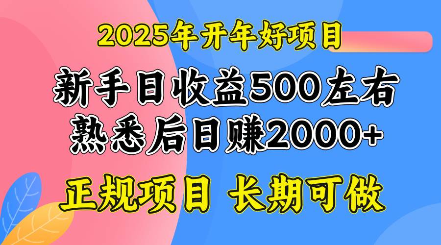 （14076期）2025开年好项目，单号日收益2000左右-三石资源库