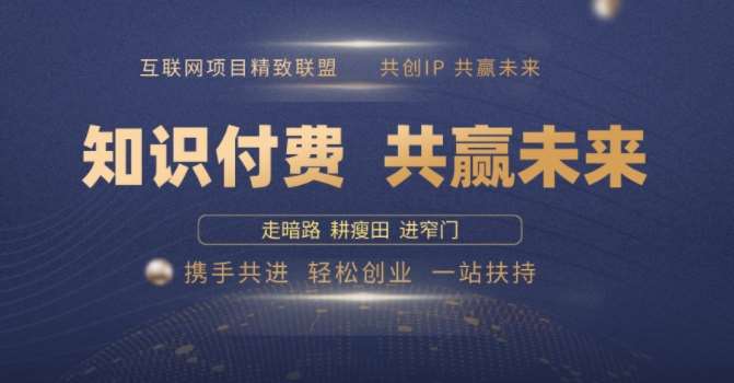 别人苦寻无果，为何他们靠知识付费卖项目 2025 年轻松年入100个?【揭秘】-三石资源库
