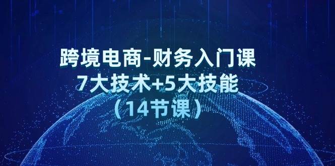 （12047期）跨境电商-财务入门课：7大技术+5大技能（14节课）-三石资源库