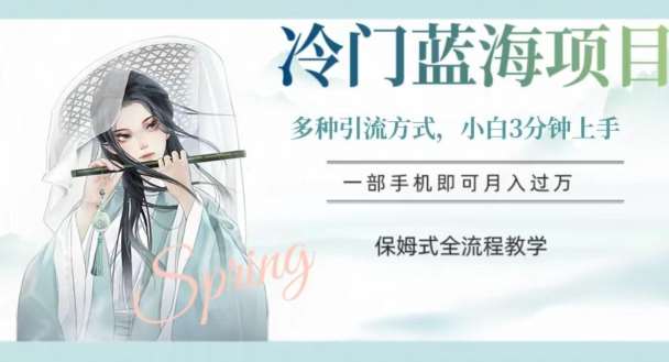 冷门蓝海项目，操作简单，小白3分钟上手，多种引流方式，保姆式全流程教学【揭秘】-三石资源库
