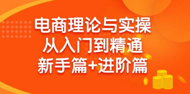 （9576期）电商理论与实操从入门到精通 新手篇+进阶篇-三石资源库