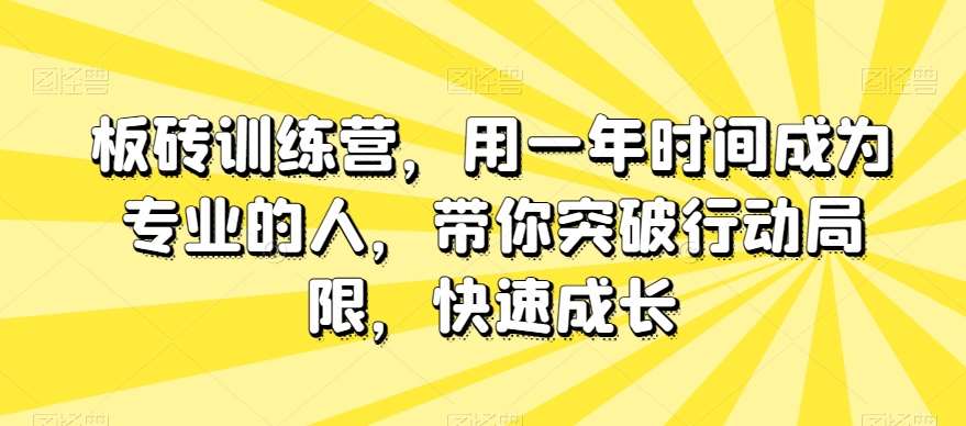 板砖训练营，用一年时间成为专业的人，带你突破行动局限，快速成长-三石资源库