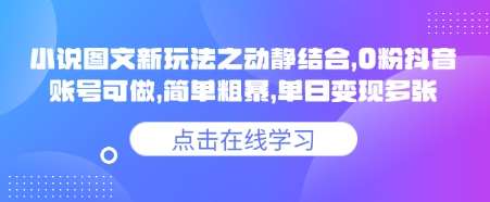 小说推文图文新玩法之动静结合，0粉抖音账号可做，简单粗暴，单日变现多张-三石资源库