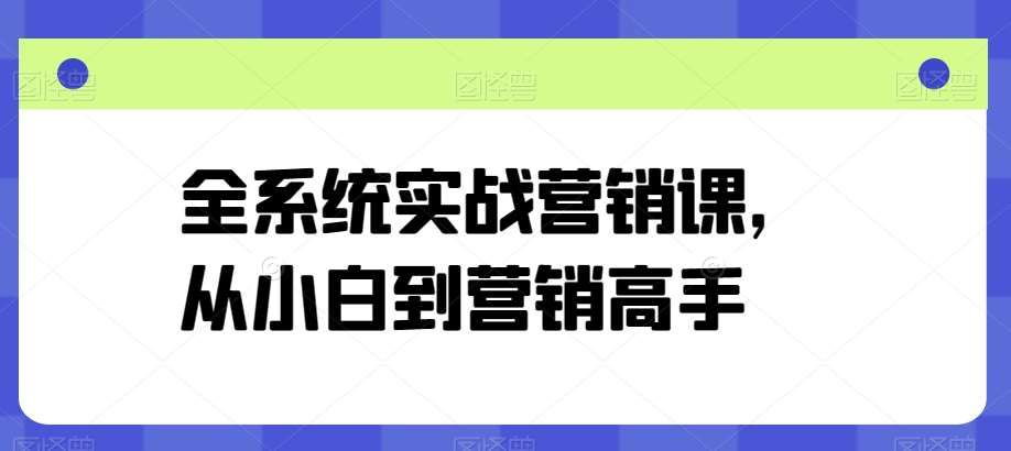 全系统实战营销课，从小白到营销高手-三石资源库