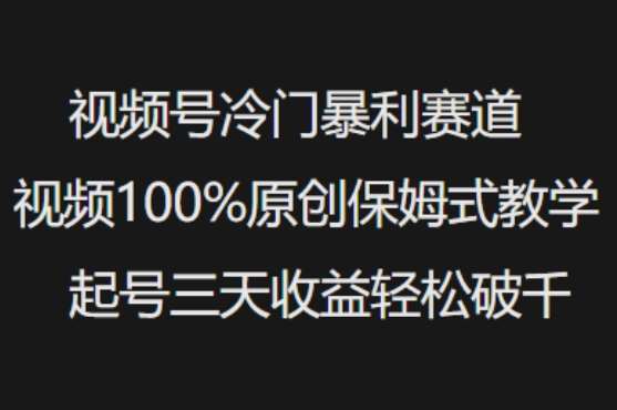 视频号冷门暴利赛道视频100%原创保姆式教学起号三天收益轻松破千-三石资源库