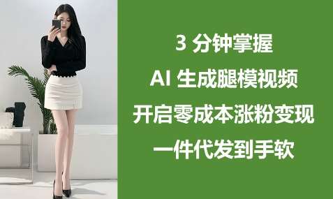 3分钟掌握AI生成腿模视频，开启零成本涨粉变现，一件代发到手软-三石资源库