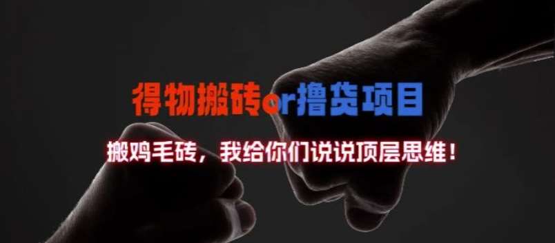 得物搬砖撸货项目?掰下数据，我给你们说说顶层思维【揭秘】-三石资源库