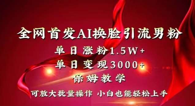 全网首发Ai换脸引流男粉，单日涨粉1.5w+，单日变现3000+，小白也能轻松上手拿结果【揭秘】-三石资源库