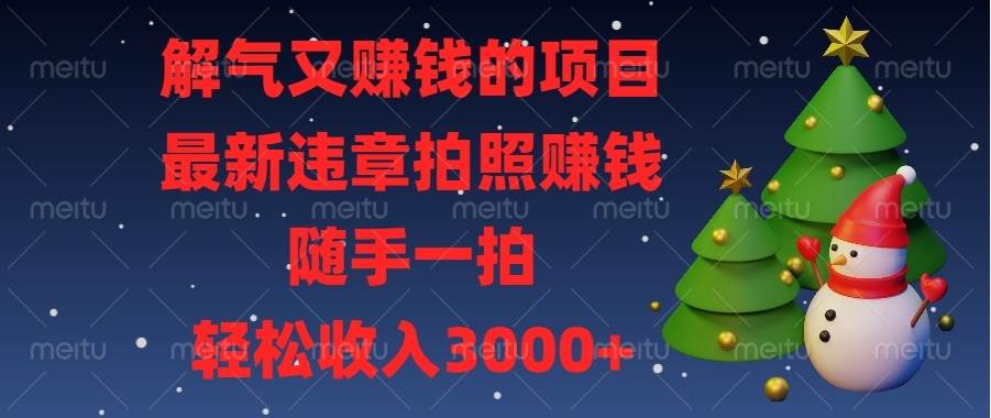 （13804期）解气又赚钱的项目，最新违章拍照赚钱，随手一拍，轻松收入3000+-三石资源库