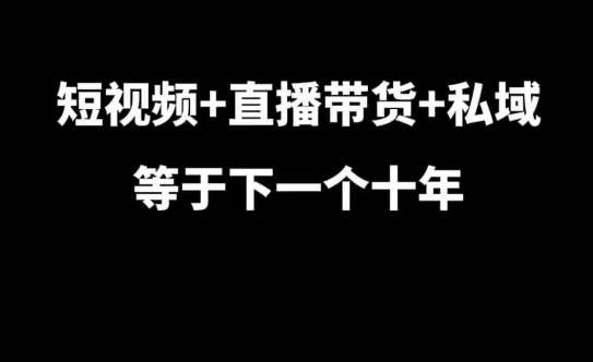 短视频+直播带货+私域等于下一个十年，大佬7年实战经验总结-三石资源库