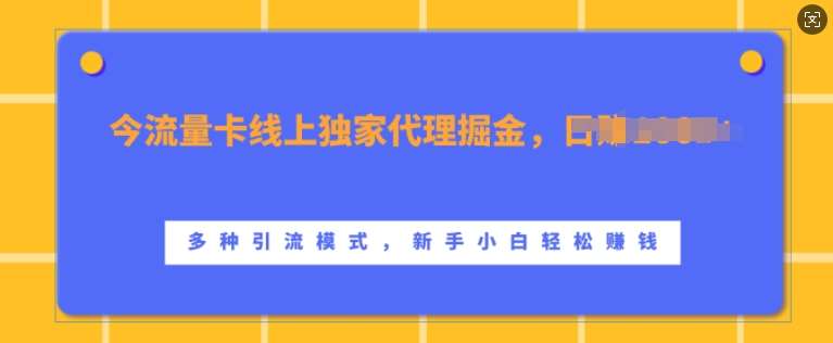 流量卡线上独家代理掘金，日入1k+ ，多种引流模式，新手小白轻松上手【揭秘】-三石资源库