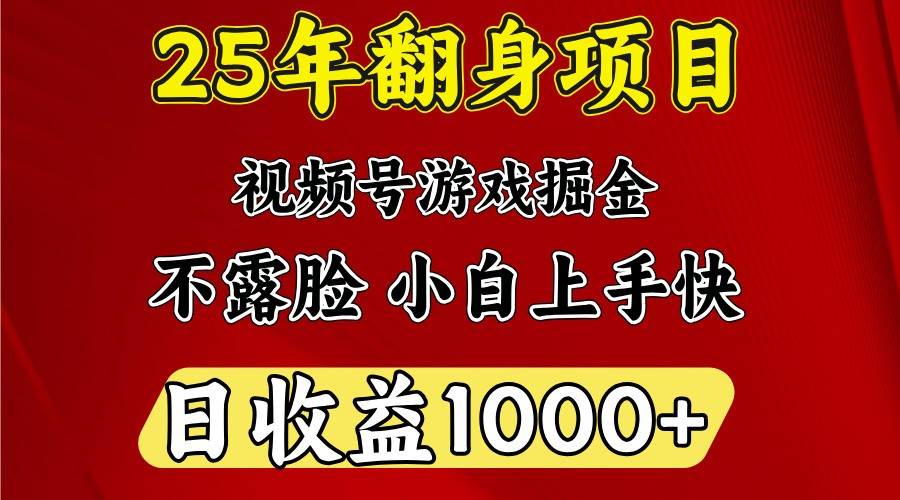 一天收益1000+ 25年开年落地好项目-三石淘金网