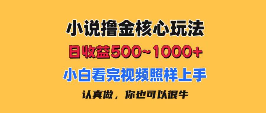 （11461期）小说撸金核心玩法，日收益500-1000+，小白看完照样上手，0成本有手就行-三石资源库