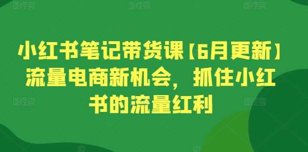 小红书笔记带货课【6月更新】流量电商新机会，抓住小红书的流量红利-三石资源库
