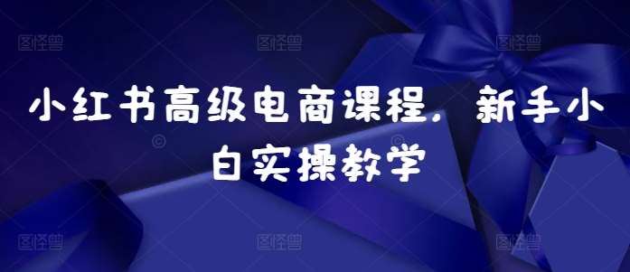 小红书高级电商课程,新手小白实操教学-三石资源库