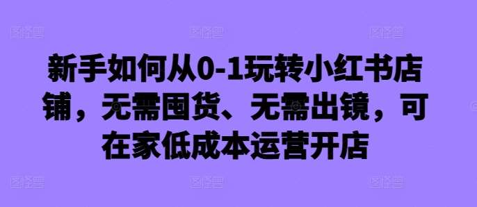 新手如何从0-1玩转小红书店铺，无需囤货、无需出镜，可在家低成本运营开店-三石资源库