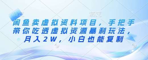 闲鱼卖虚拟资料项目，手把手带你吃透虚拟资源暴利玩法，月入2W，小白也能复制-三石淘金网