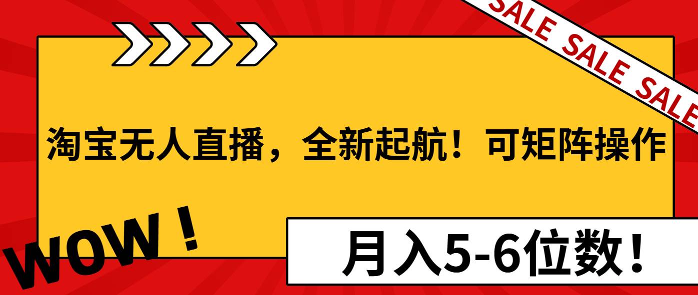 （13946期）淘宝无人直播，全新起航！可矩阵操作，月入5-6位数！-三石资源库