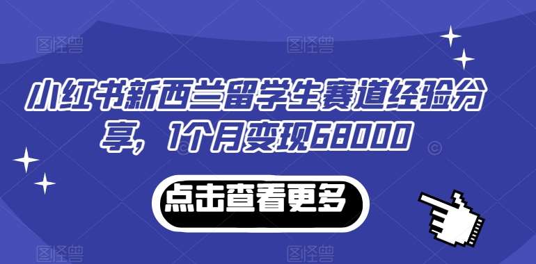 小红书新西兰留学生赛道经验分享，1个月变现68000【揭秘】-三石资源库