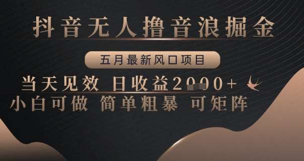 抖音无人撸音浪掘金，五月最新风口项目，当天见效，日收益多张，小白可做简单粗暴可矩阵【揭秘】-三石资源库