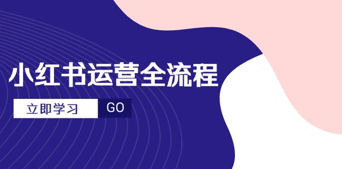 （14861期）小红书运营全流程，爆款选题文案，视频制作技巧，进阶达人宝典-三石资源库