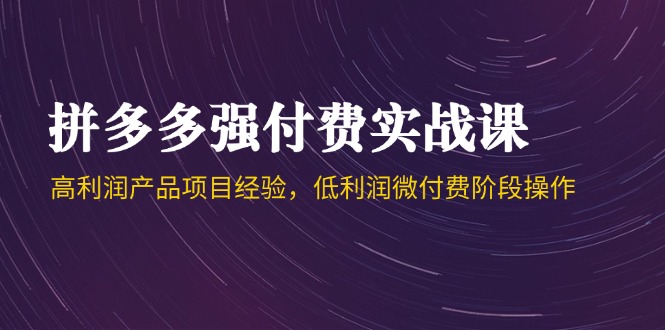 （14874期）拼多多强付费实战课-44期，高利润产品项目经验，低利润微付费阶段操作-三石资源库