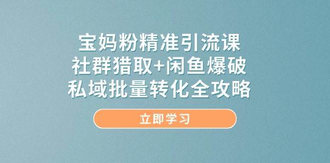 宝妈粉精准引流课，社群猎取+闲鱼爆破，私域批量转化全攻略-三石资源库