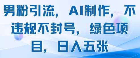 男粉引流，AI制作，不违规不封号，绿色项目，日入五张-三石淘金网