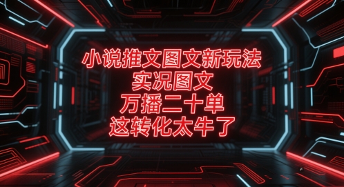 小说推文图文新玩法，实况图文，万播二十单，这转化太牛了！-三石资源库