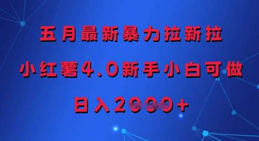 五月最新暴力拉新拉，小红薯4.0新手小白可做，日入多张-三石淘金网