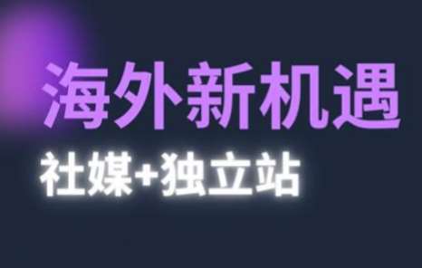 2025出海新机遇(社媒+独立站)，海外新机遇，实现独立站的高效运营与出海-三石资源库