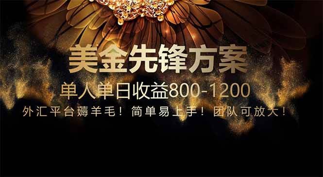 （14761期）免费技术！小众赛道！一年布局抵三年努力，每日800+-三石淘金网