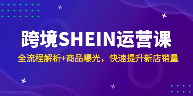 （14832期）跨境SHEIN运营课，全流程解析+商品曝光，快速提升新店销量-三石资源库