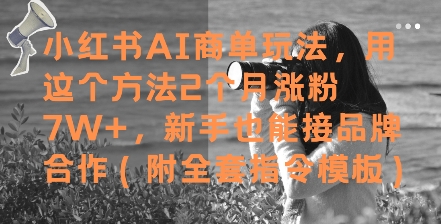 小红书AI商单玩法，用这个方法2个月涨粉7W+，新手也能接品牌合作(附全套指令模板)-三石资源库