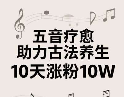古法五音养生教程，五音疗愈的视频的制作方法，2-4小时就能学会，作者10天涨粉10W-三石淘金网