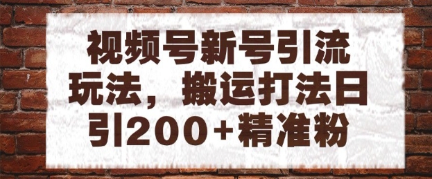 视频号新号引流玩法，搬运打法日引200+精准粉，可矩阵放大【揭秘】-三石资源库