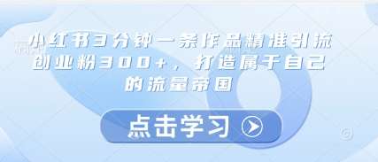 小红书3分钟一条作品精准引流创业粉300+，打造属于自己的流量帝国-三石淘金网